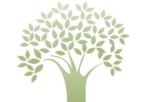 IL CONSIGLIERE D’ASTA PRESENTA MOZIONE PER RENDERE LA CITTA’ DI RAGUSA “PLASTIC FREE”