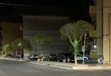 Randagismo a Ragusa, Chiavola e D’Asta: “Indispensabile una soluzione urgente”