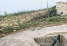 Interrogazione sullo stato di degrado in cui versa contrada Maulli a Marina di Ragusa