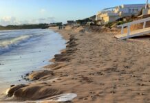 Ripascimento morbido a Punta Braccetto, D’Asta e Chiavola: “Qualcosa non va”