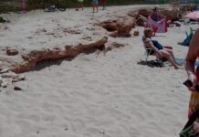 Manca un’accessibilità piena alla spiaggia di Punta di Mola, il consigliere D’Asta presenta un’interrogazione per capire il perché