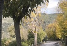 PARCHEGGIO A IBLA, D’ASTA: “COMPIUTO PASSO AVANTI. ORA SI APRANO I CANTIERI”