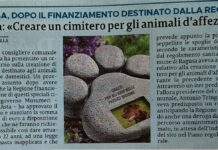 Cimitero comunale animali domestici e d’affezione, il testo dell’ordine del giorno presentato dal consigliere D’Asta a Ragusa