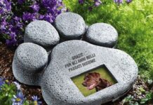 Cimiteri animali d’affezione e domestici, D’Asta presenta un odg per sollecitare il Comune di Ragusa ad adoperarsi con l’iter