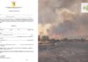 Avviso per le segnalazioni dei danni subiti dalle imprese agricole in seguito all’emergenza incendi, ecco come fare