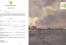 Avviso per le segnalazioni dei danni subiti dalle imprese agricole in seguito all’emergenza incendi, ecco come fare