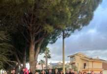 Piantumati 30 alberi d’ulivo in via Australia, l’assessore D’Asta: “Un segnale importante”