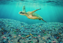 Tutto quello che c’è da sapere sulla plastica. Che inquinamento ci aspetta in futuro?